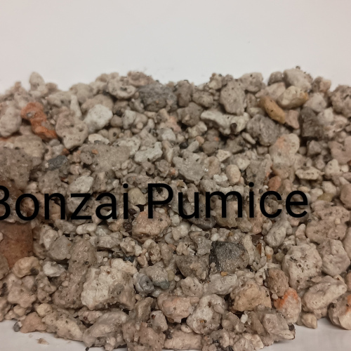Bonzai Pumice